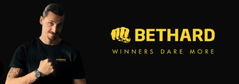 Bethard Casino 2025 Assessment: 31-Day Technical Analysis with €4,750 Test Budget